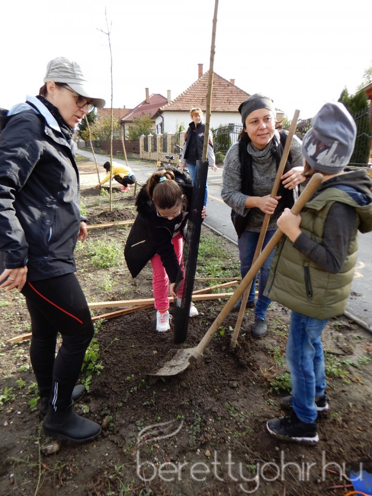 Közösségi faültetés Berettyóújfaluban 31